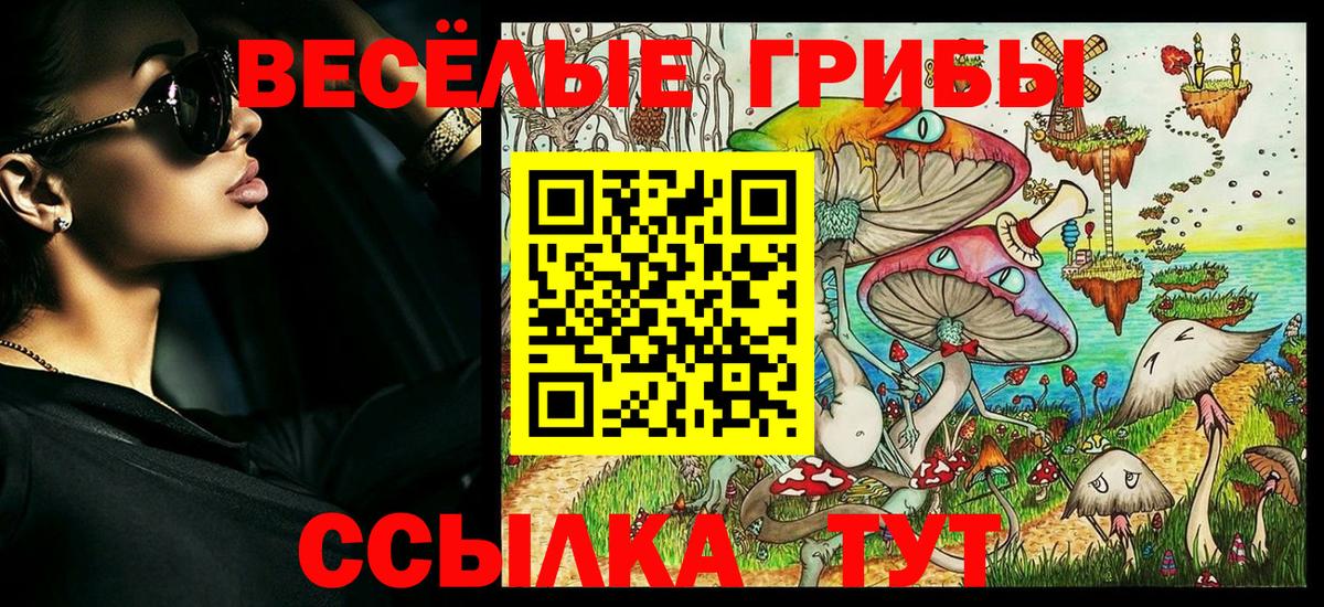 Псилоцибиновые грибы мицелий  Вход с VPN  Псилоцибиновые грибы прущие грибы  Элиста 