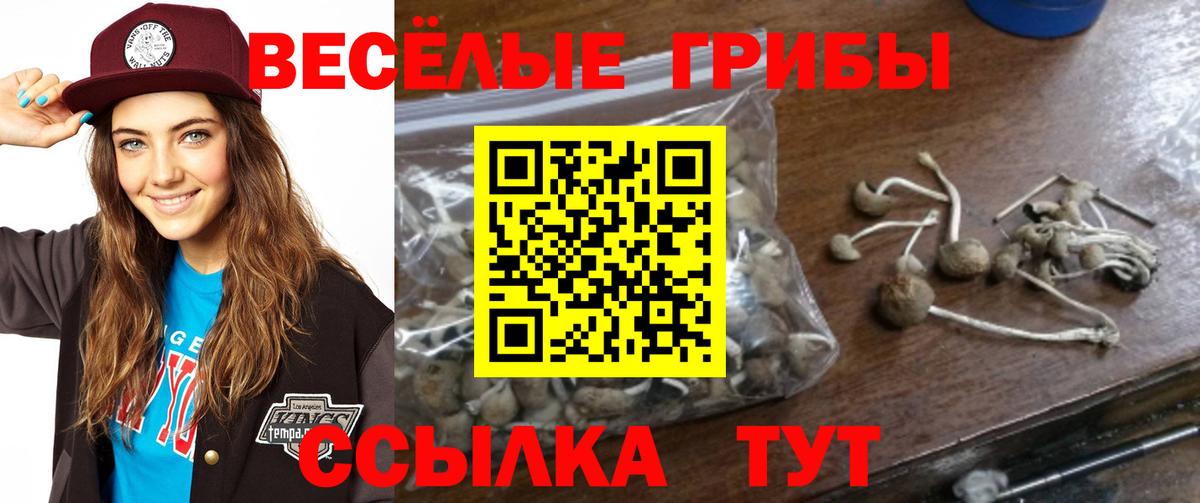 Галлюциногенные грибы ЛСД Элиста